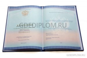 диплом нпо 2014-2025 года
