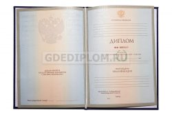 диплом МЭФИ 2004-2009