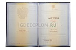 диплом МЭФИ 2010-2011